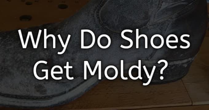 why do shoes get moldy