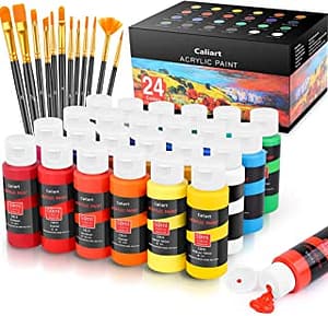 Caliart Acrylic Paint Set, 24 Classic Colors What type of paint do you use on shoes?