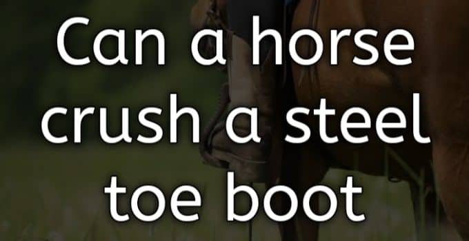 Can a horse crush a steel toe boot