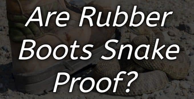 Are rubber boots snake-proof